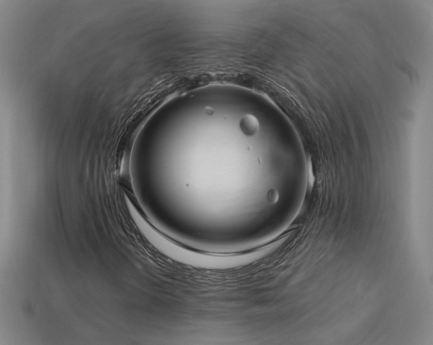 X0000114121298200910051503