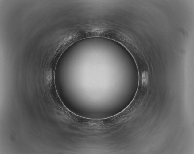 X0000114121299200910051503