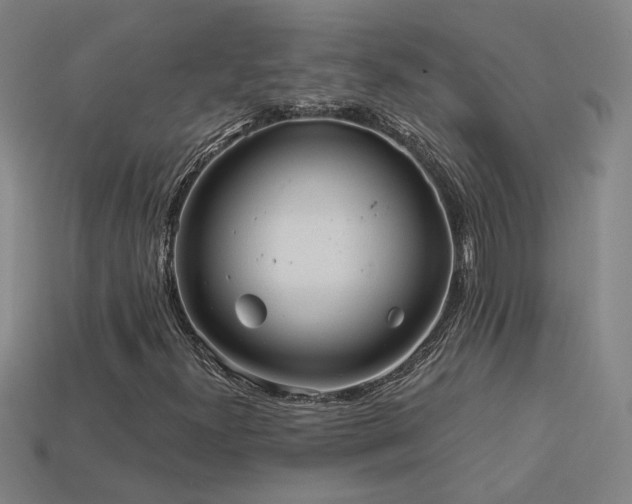X0000114121300200910051503
