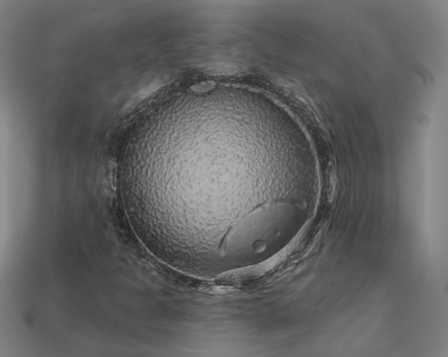 X0000114121301200910051503