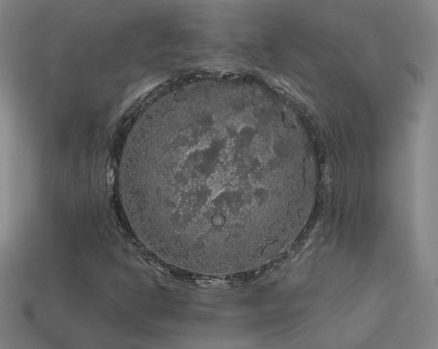 X0000114121302200910051503