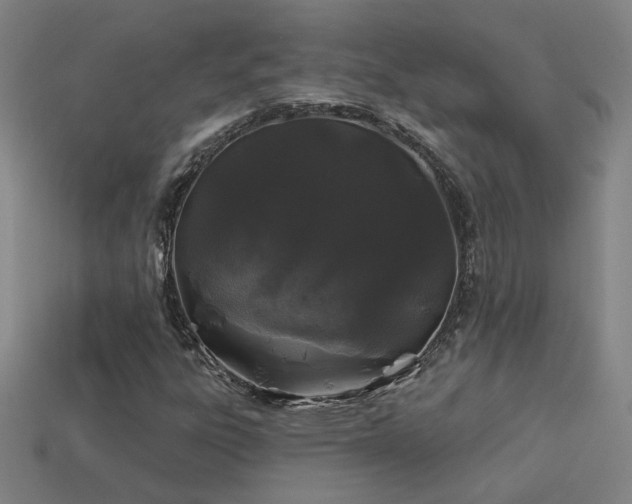 X0000114121303200910051503