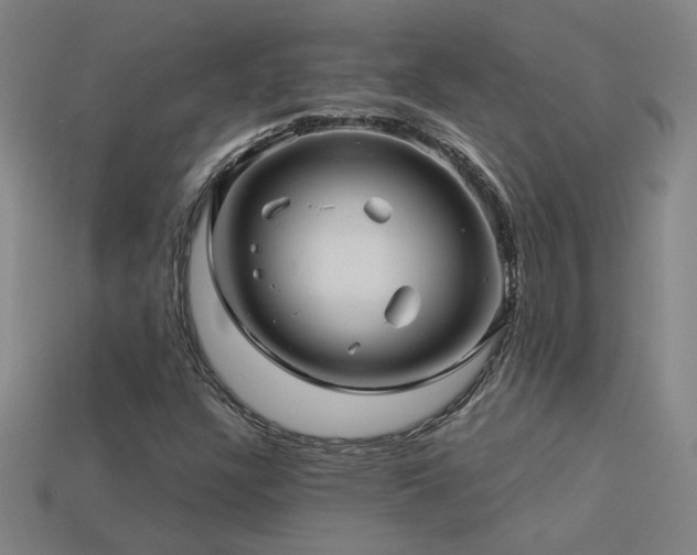 X0000114121304200910051503