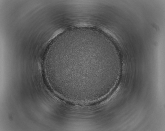 X0000114121305200910051503