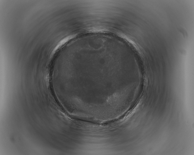 X0000114121306200910051503