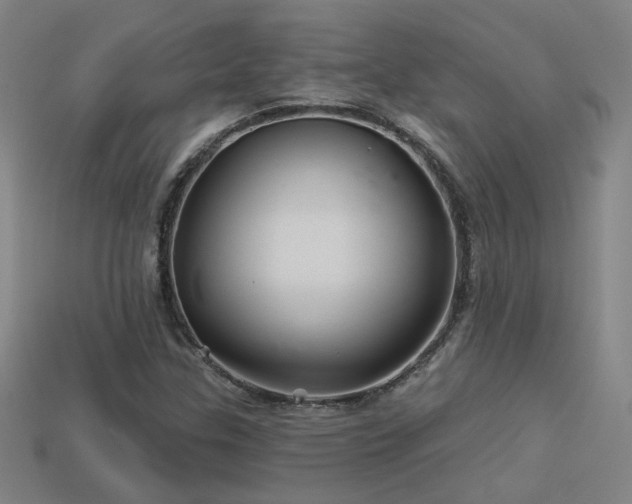 X0000114121307200910051503
