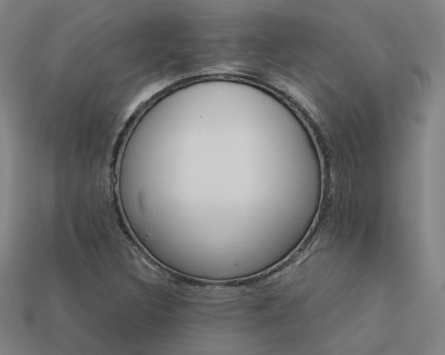 X0000114121308200910051503