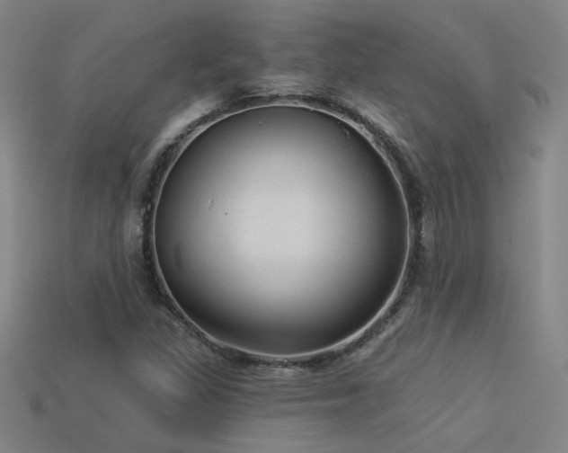X0000114121309200910051503
