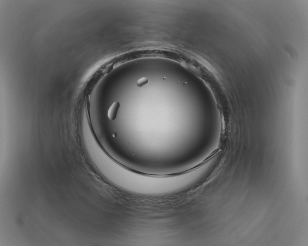 X0000114121310200910051503