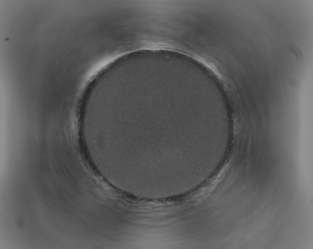 X0000114121311200910051503