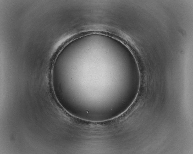 X0000114121312200910051503