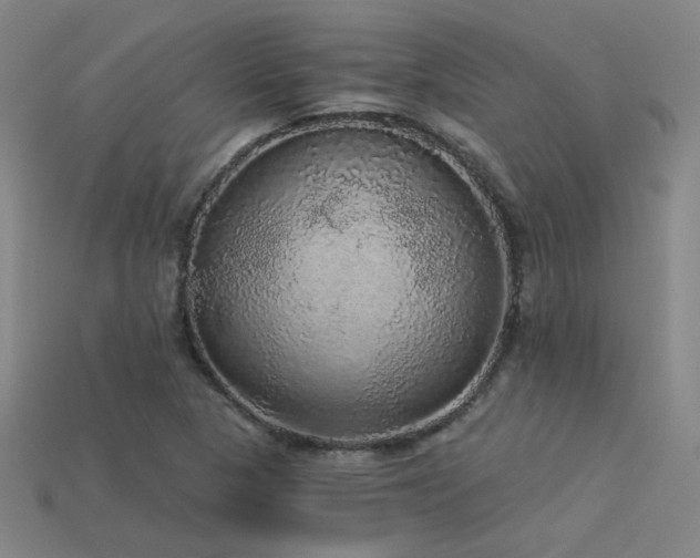 X0000114121313200910051503