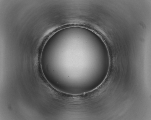 X0000114121315200910051503