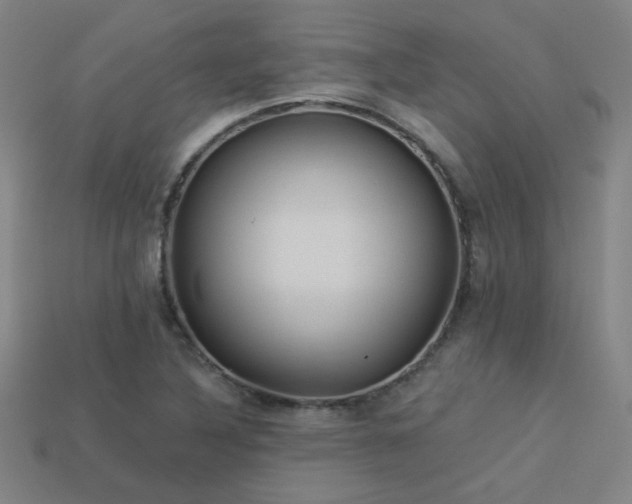 X0000114121316200910051503