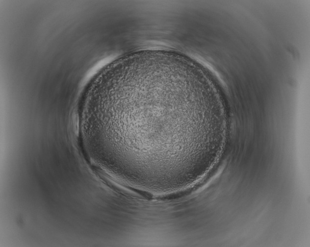 X0000114121317200910051503