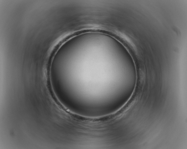 X0000114121318200910051503