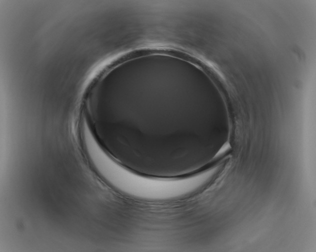 X0000114121319200910051503