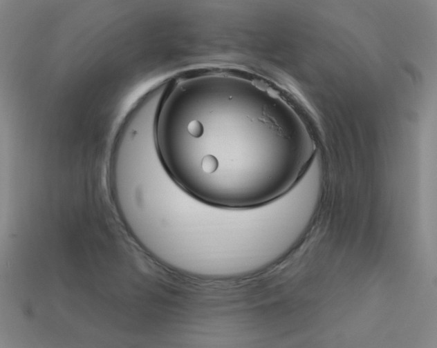 X0000114121320200910051503