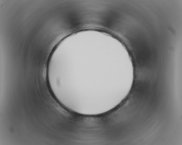 X0000114121322200910051503