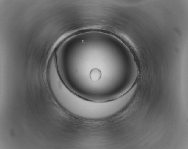 X0000114121324200910051503