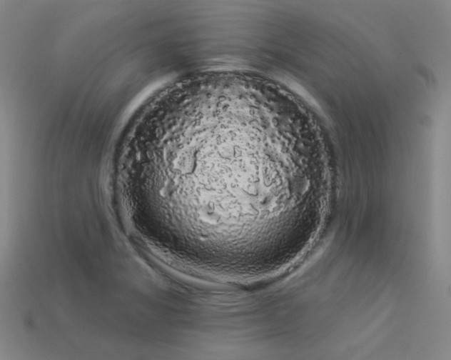 X0000114121325200910051503