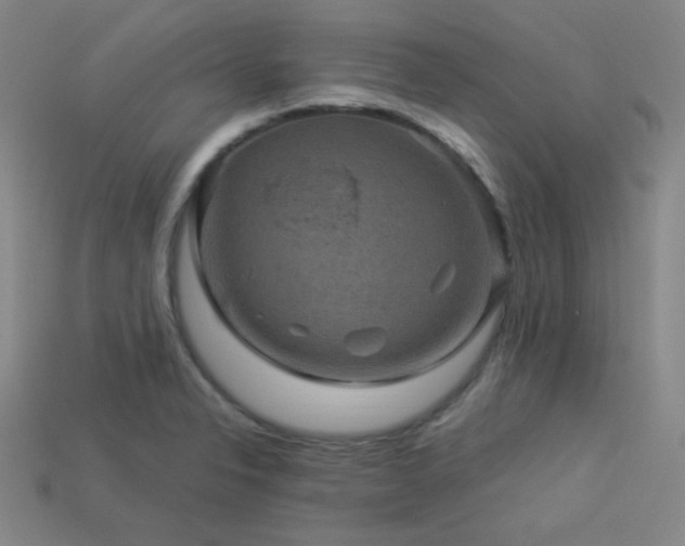 X0000114121326200910051503
