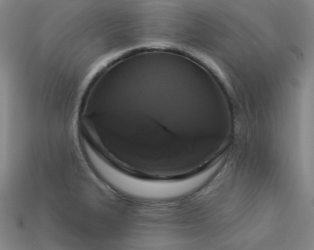 X0000114121327200910051503
