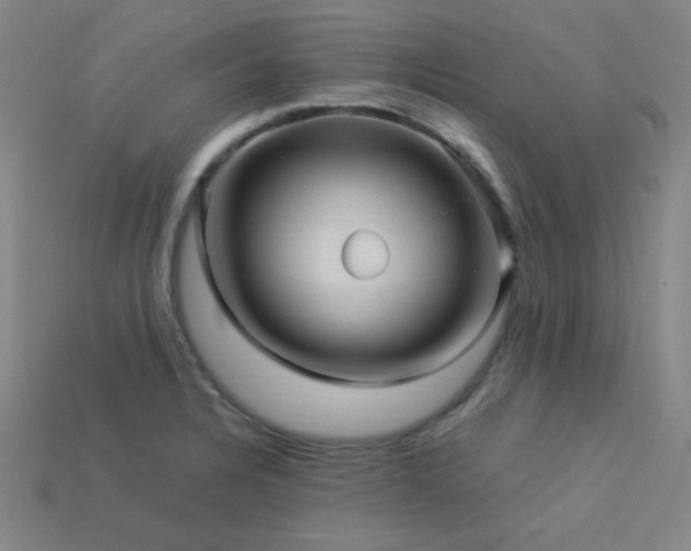 X0000114121328200910051503