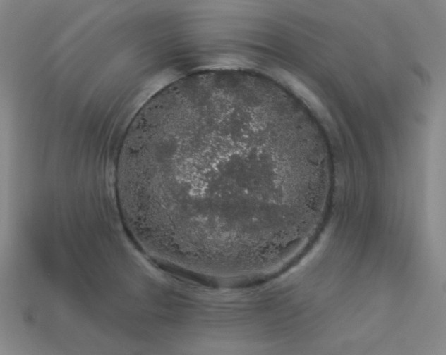 X0000114121329200910051503