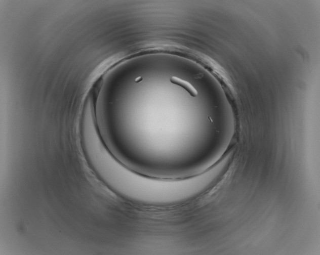 X0000114121330200910051503