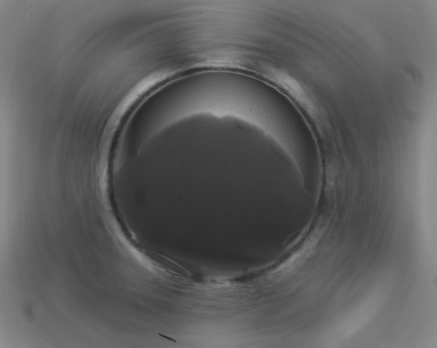 X0000114121331200910051503