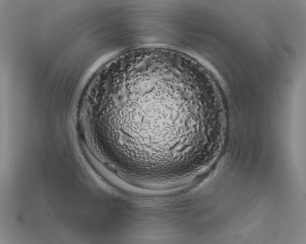 X0000114121333200910051503