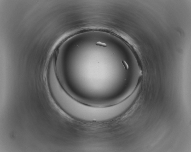 X0000114121334200910051503