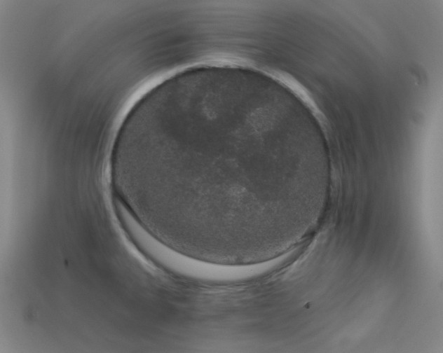 X0000114121335200910051503