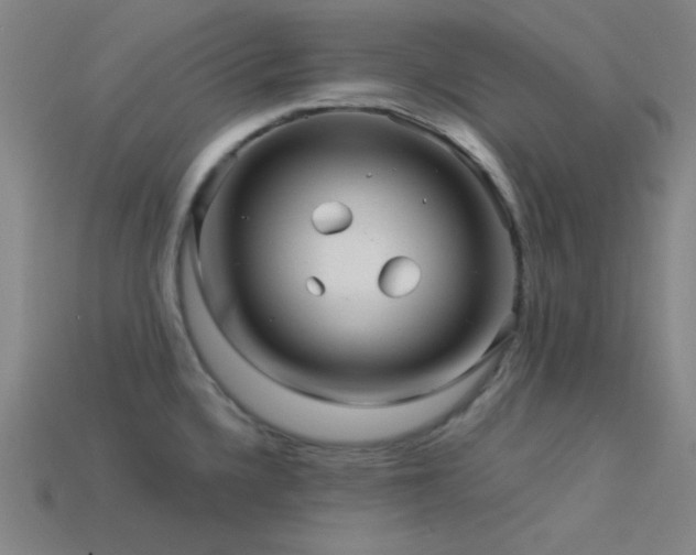 X0000114121336200910051503