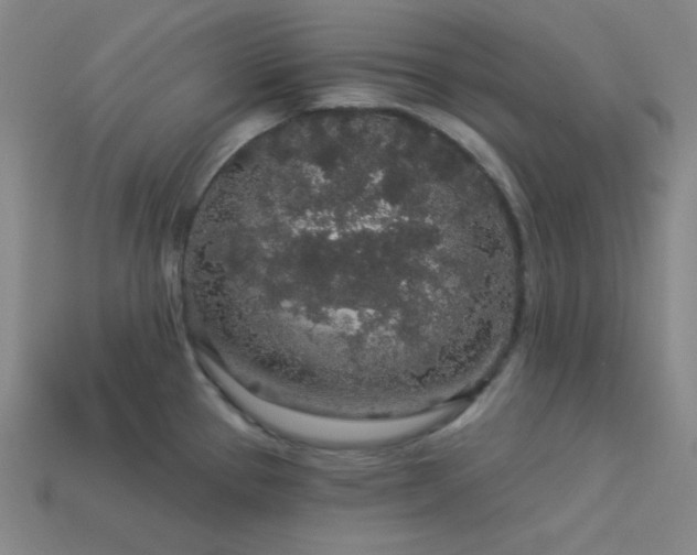X0000114121337200910051503
