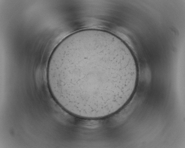 X0000114121338200910051503