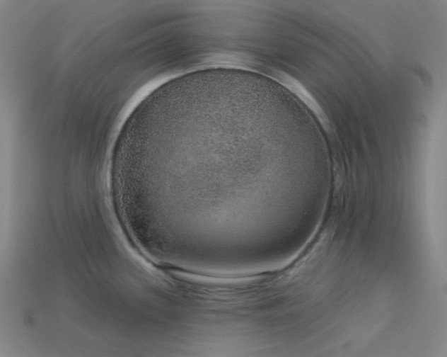X0000114121339200910051503