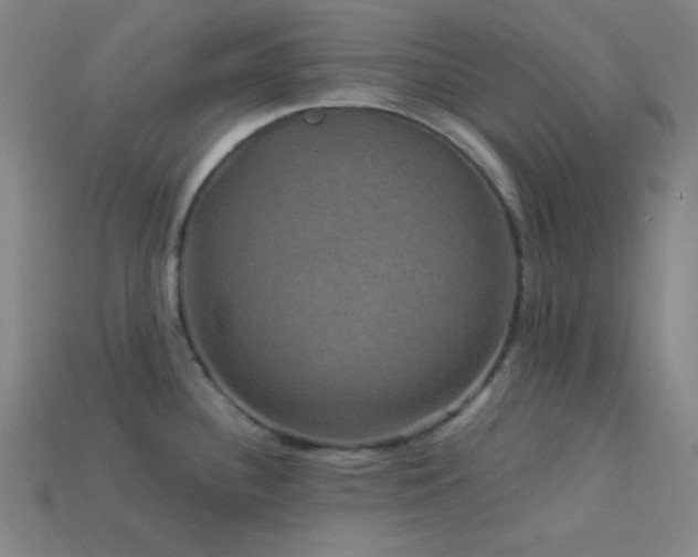 X0000114121340200910051503