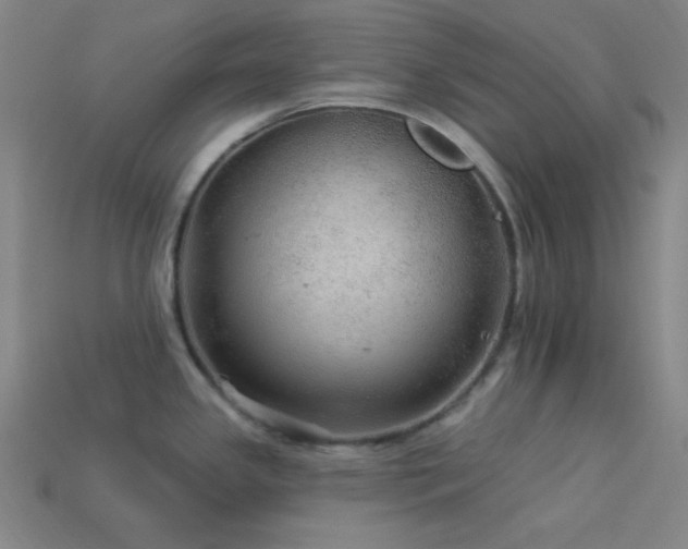 X0000114121341200910051503