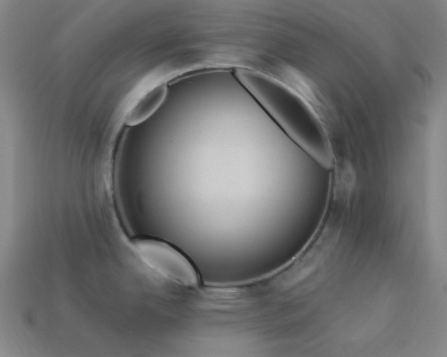 X0000114121342200910051503