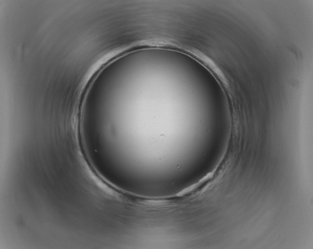 X0000114121343200910051503