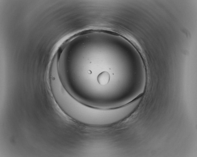 X0000114121344200910051503