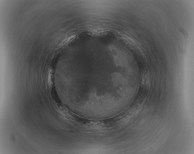 X0000114121346200910051503