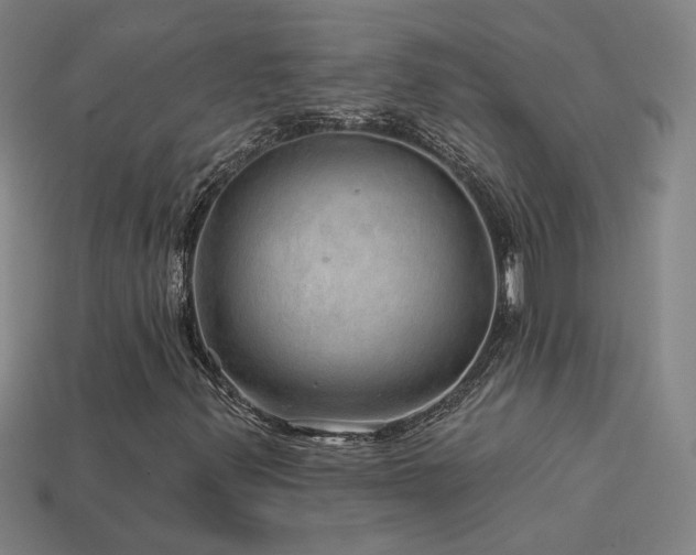 X0000114121347200910051503