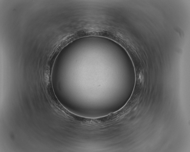 X0000114121348200910051503