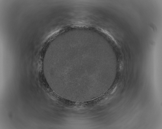 X0000114121350200910051503