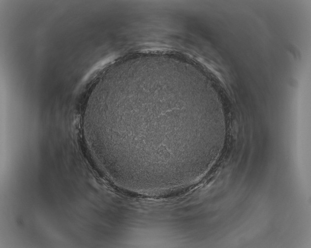 X0000114121351200910051503