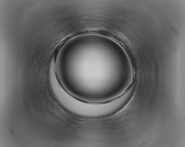 X0000114121353200910051502