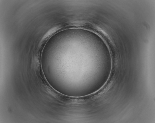 X0000114121354200910051502